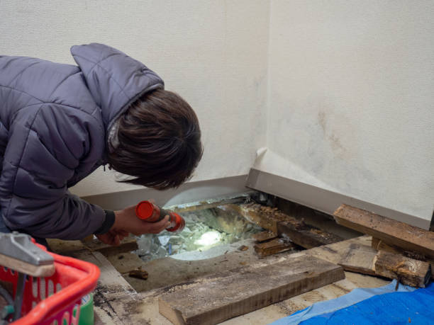 Best Indoor Air Quality Assessment  in Marietta, OK