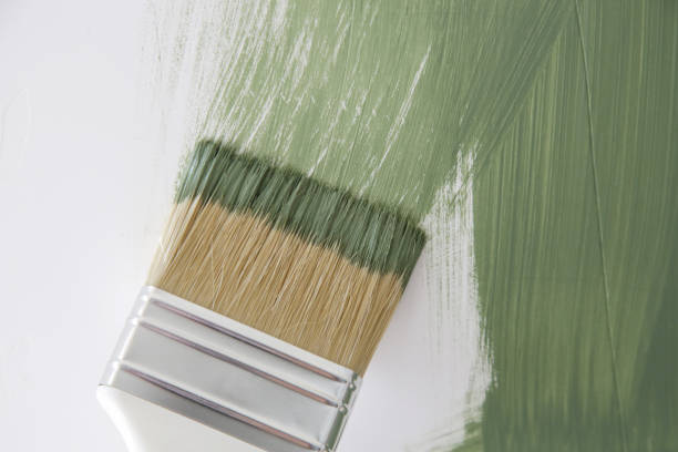 Mold Remediation for Rental Properties in Marietta, OK
