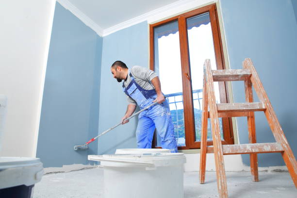 Mold Odor Removal Services in Marietta, OK