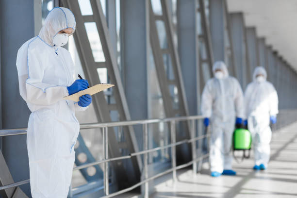 Best Mold Damage Restoration  in Marietta, OK