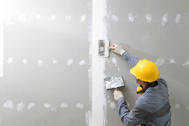 Best Mold Odor Removal Services  in Marietta, OK