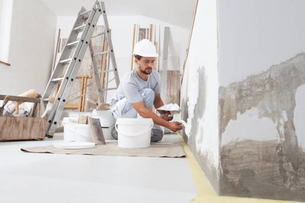 Best Post-Construction Mold Inspection  in Marietta, OK