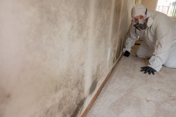Best Post-Remediation Verification Testing  in Marietta, OK